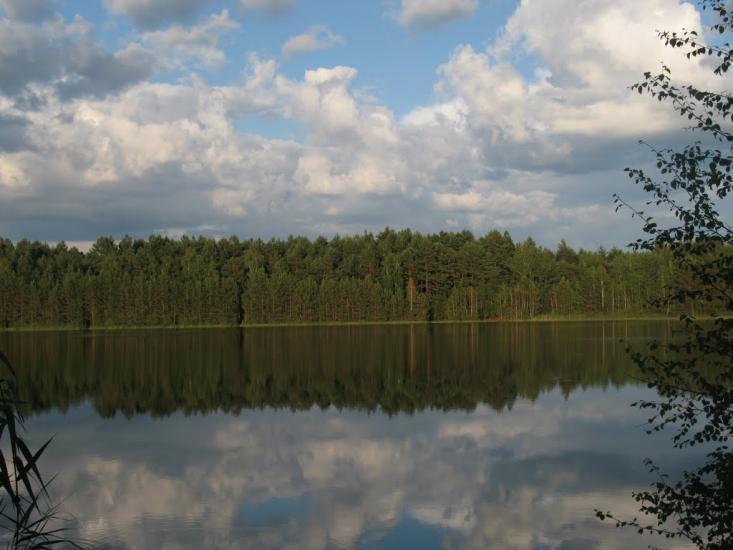 Піски-Річицькі з panoramio.com - Піски-Річицькі