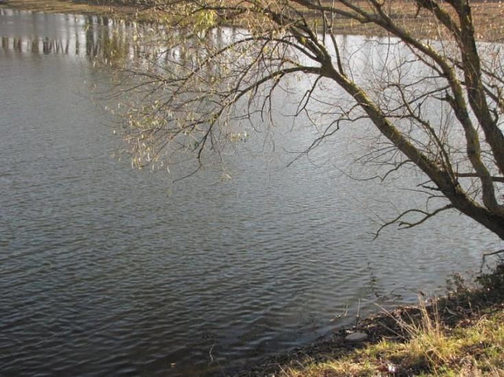 Сороцьке з panoramio.com - Сороцьке