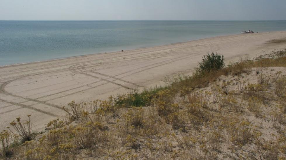 Степанівка Перша з panoramio.com - Степанівка Перша