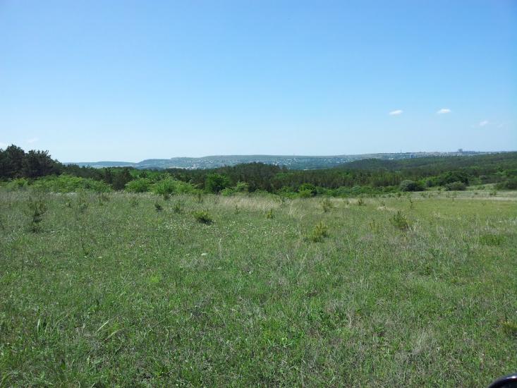 Строгонівка з panoramio.com - Строгонівка