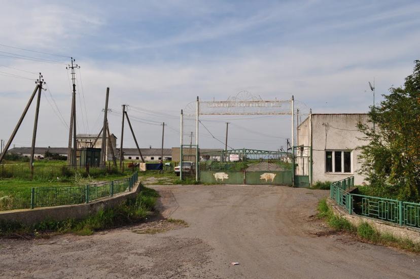 Паладь-Комарівці з panoramio.com - Паладь-Комарівці