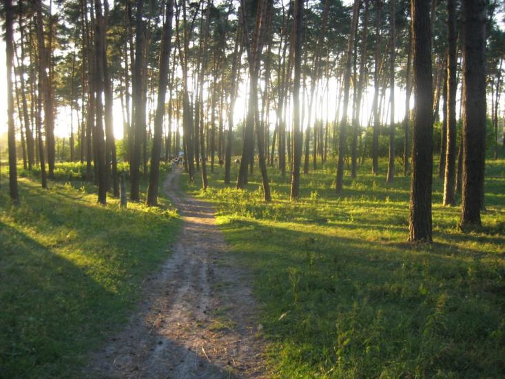Карасиха з panoramio.com - Карасиха