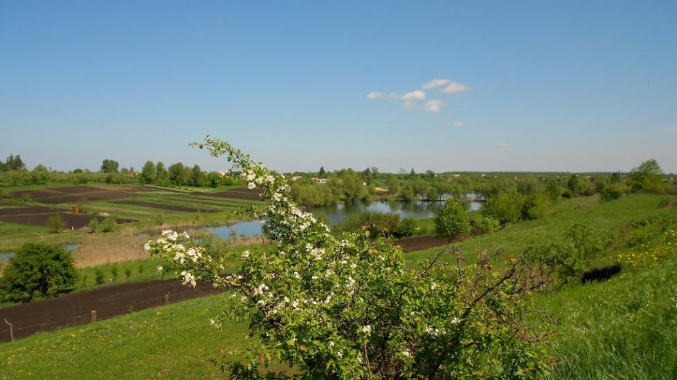 Козятин з panoramio.com - Kozyatyn