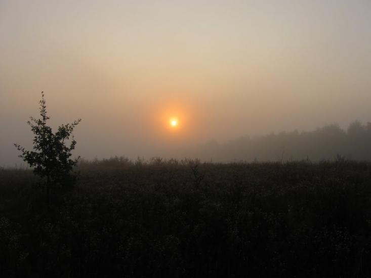Лукашівка з panoramio.com - Лукашівка