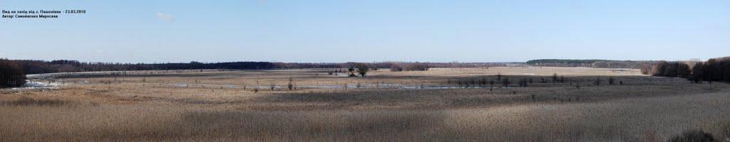 Пашенівка з panoramio.com - Пашеновка