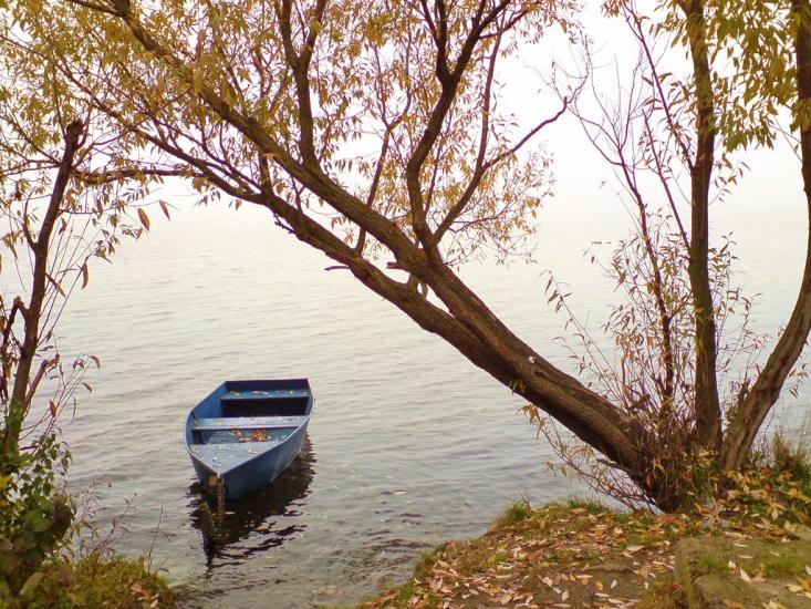 Біла з panoramio.com - Біла