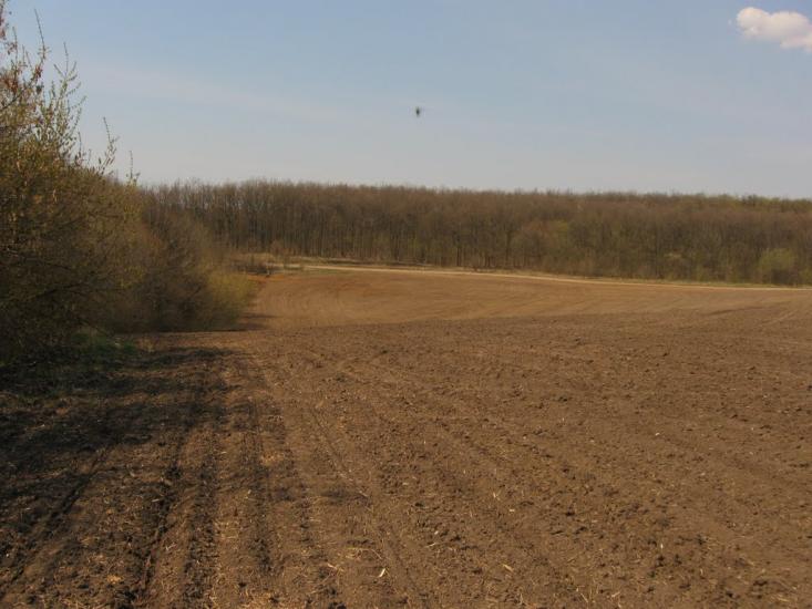 Ладижинське з panoramio.com - Ладижинське