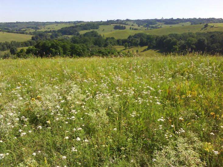 Головківка з panoramio.com - Головковка