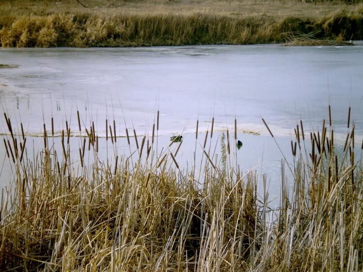 Старий Крим з panoramio.com - Старий Крим