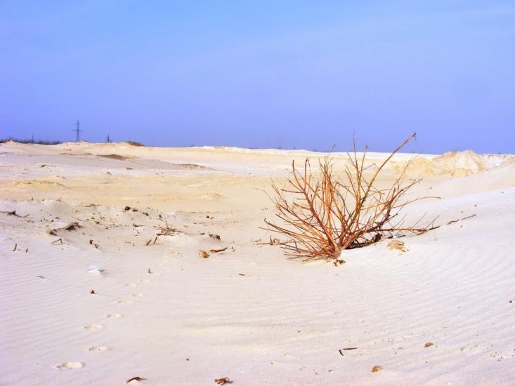 Кардашинка з panoramio.com - Кардашинка