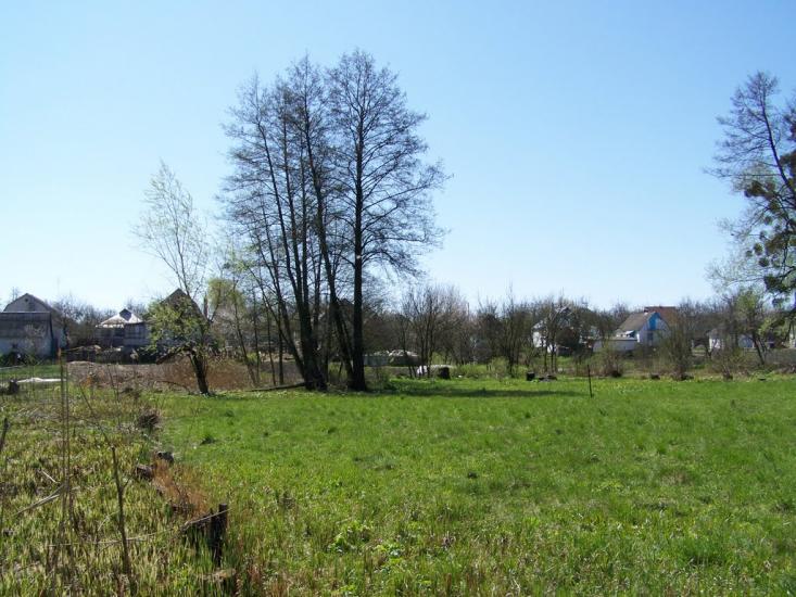 Синява з panoramio.com - Synyava