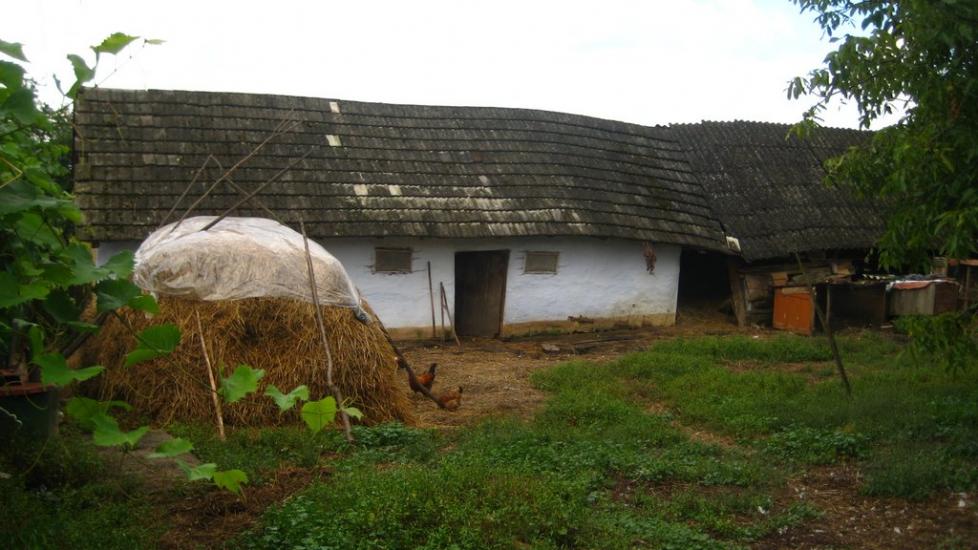 Кнісело з panoramio.com - Кнісело