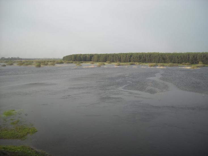 Більче з panoramio.com - Бильче