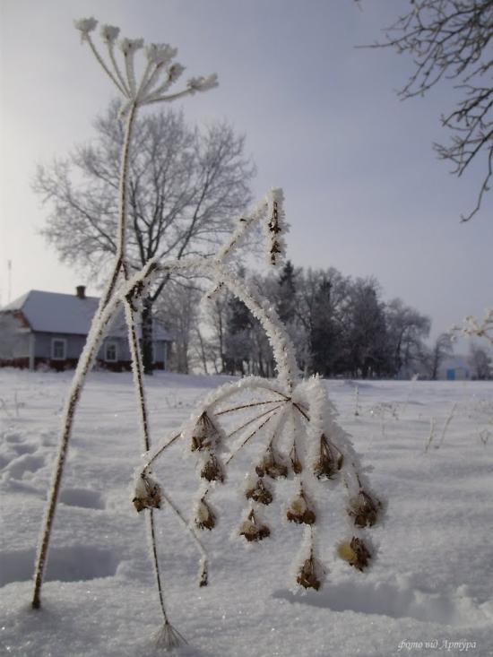 Звози з panoramio.com - Zvozy