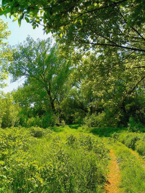 Юр'ївка з panoramio.com - Юрьевка