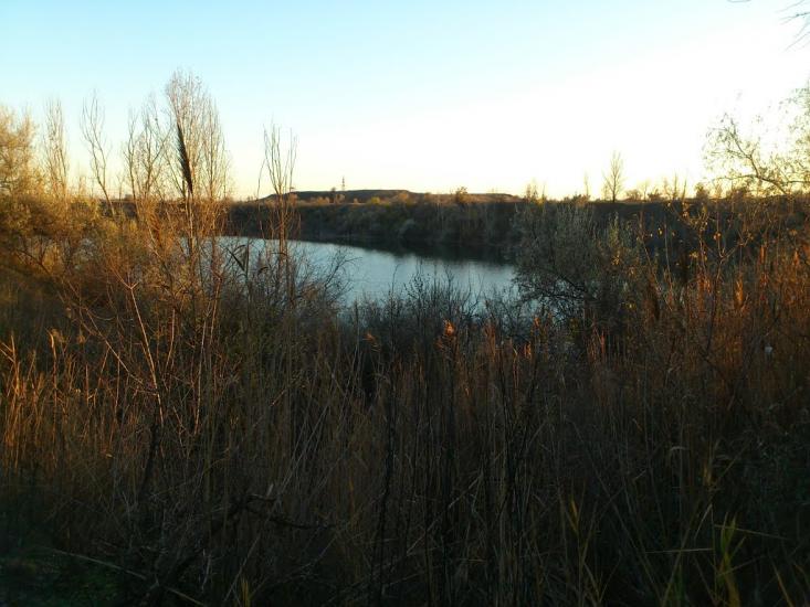 Чортомлик з panoramio.com - Чертомлык