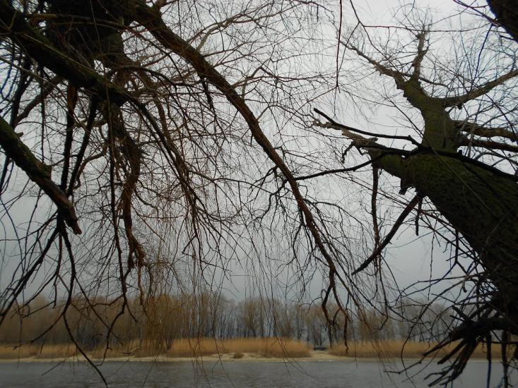 Леськи з panoramio.com - Леськи