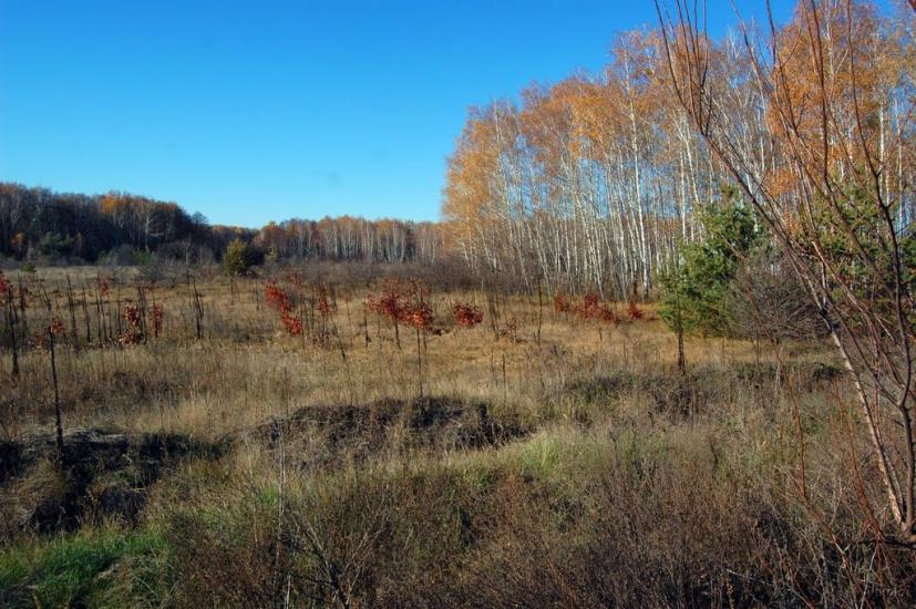 Осколонівка з panoramio.com - Осколонівка