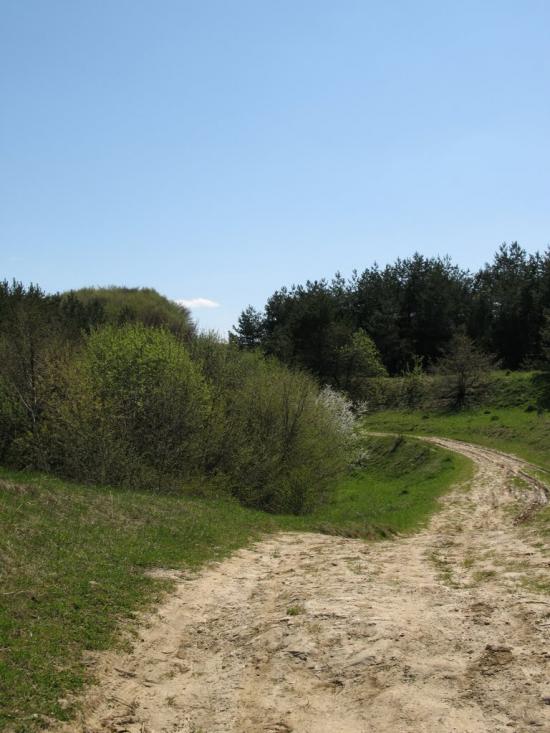 Затемне з panoramio.com - Затемне