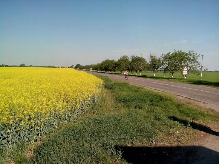 Гребінки з panoramio.com - Гребінки