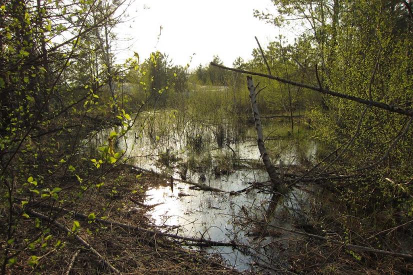 Козачі Лагері з panoramio.com - Козачие Лагеря