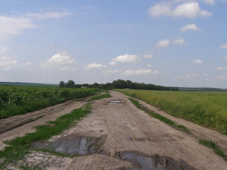 Петро-Марківка з panoramio.com - Петро-Марківка