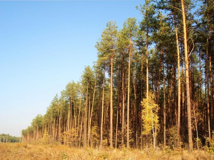 Славута з panoramio.com - Славута