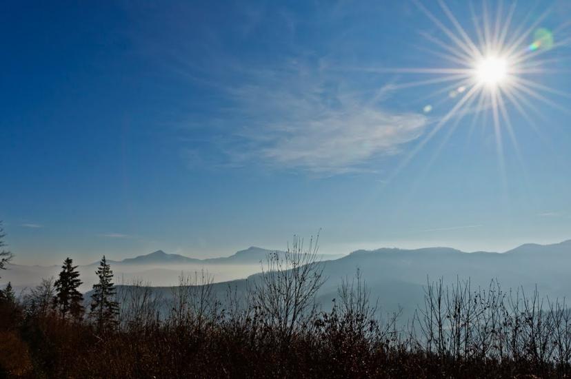 Чорна Тиса з panoramio.com - Черная Тиса
