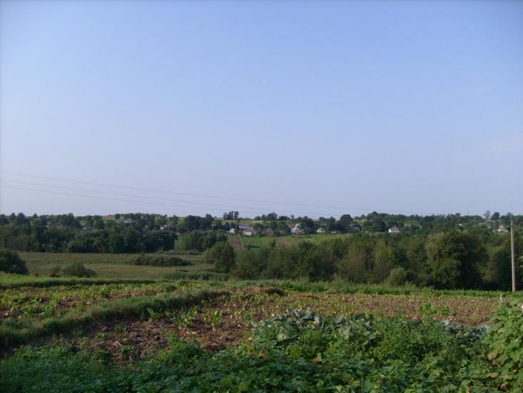 Сьомаки з panoramio.com - Семаки