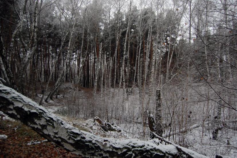 Воронове з panoramio.com - Воронове