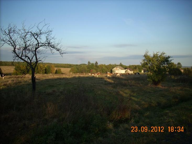 Довгий Войнилів з panoramio.com - Довгий Войнилів