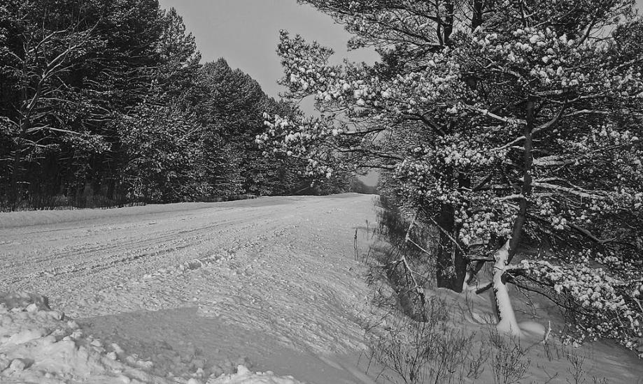 Глібівка з panoramio.com - Глібівка