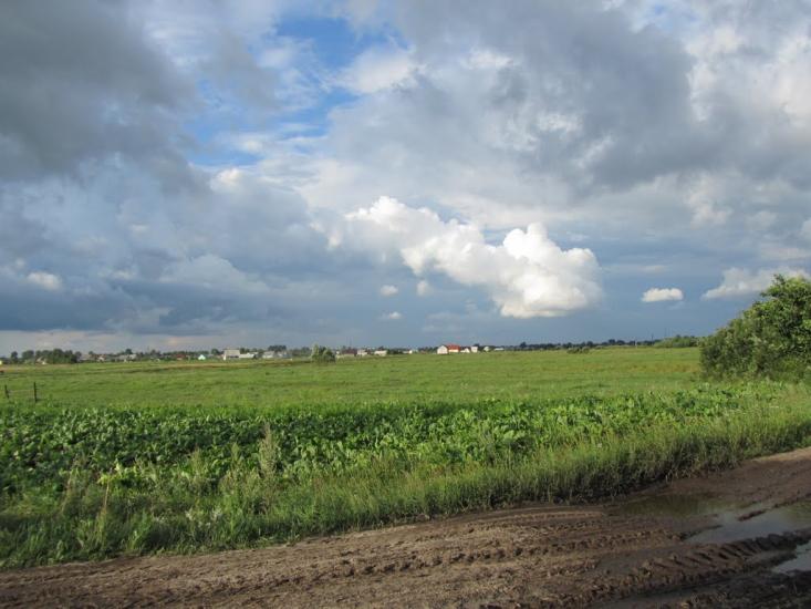 Раків Ліс з panoramio.com - Раків Ліс