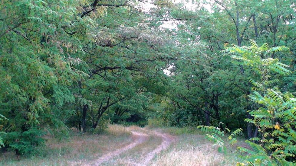 Могилів з panoramio.com - Могилев