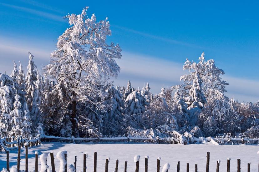 Росільна з panoramio.com - Росільна