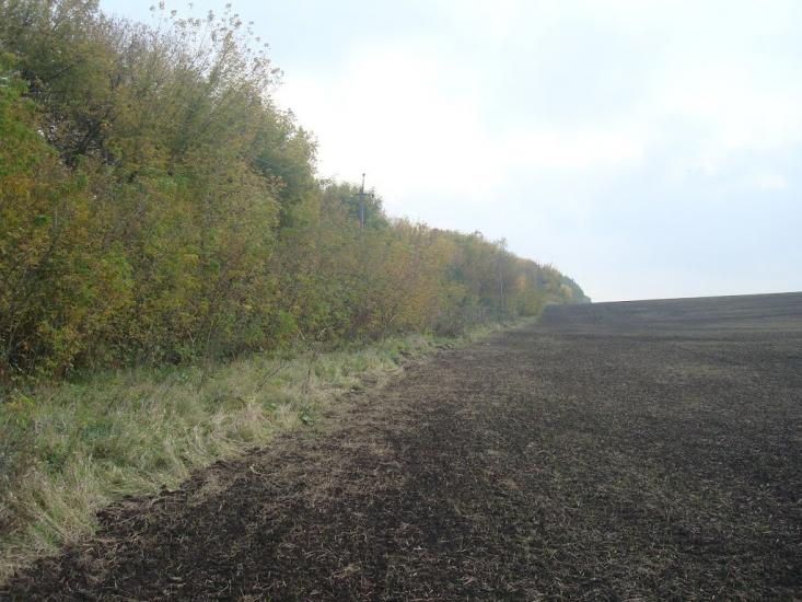 Малашівці з panoramio.com - Малашівці