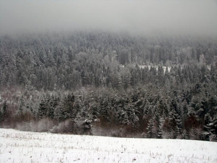 Мала Волосянка з panoramio.com - Малая Волосянка