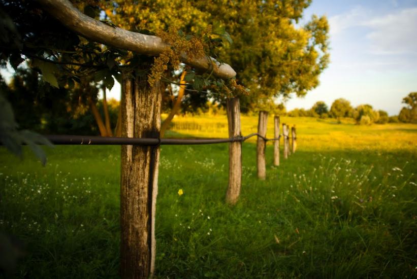 Остапівка з panoramio.com - Остаповка