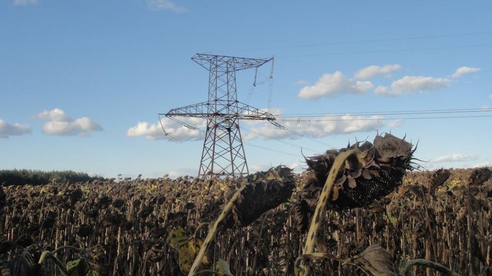 Мала Олександрівка з panoramio.com - Mala Oleksandrivka