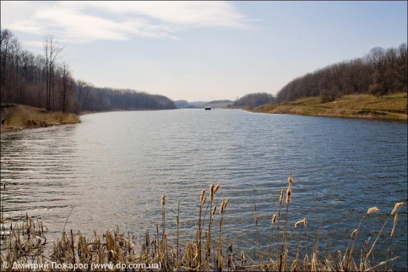 Польова з panoramio.com - Полевая