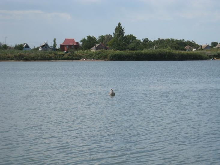 Приморське з panoramio.com - Приморське