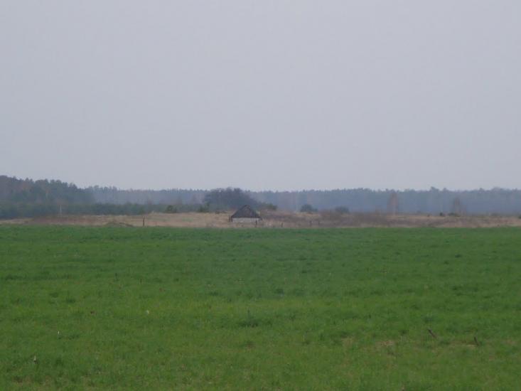 Ниговищі з panoramio.com - Ниговищи