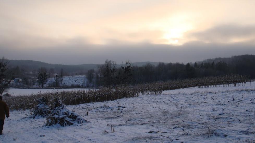 Лубенці з panoramio.com - Лубенцы