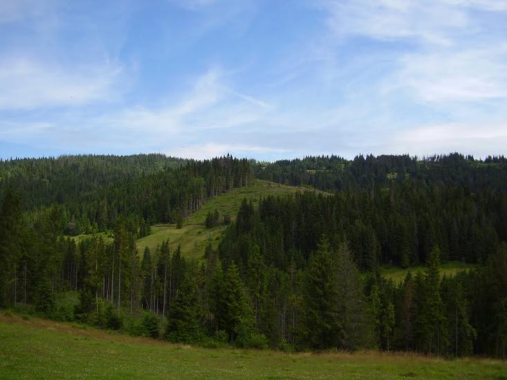 Орява з panoramio.com - Орява