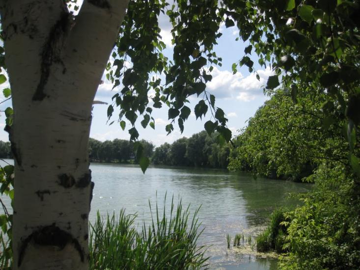 Борзна з panoramio.com - Борзна