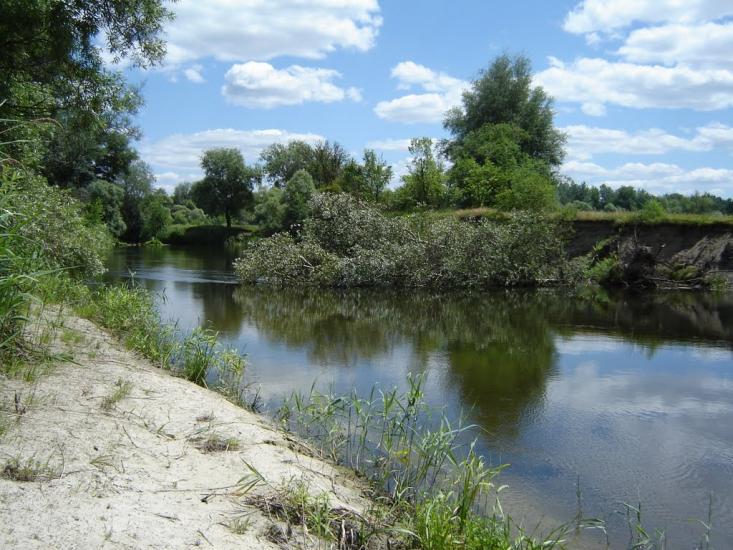 Щурівка з panoramio.com - Щуровка