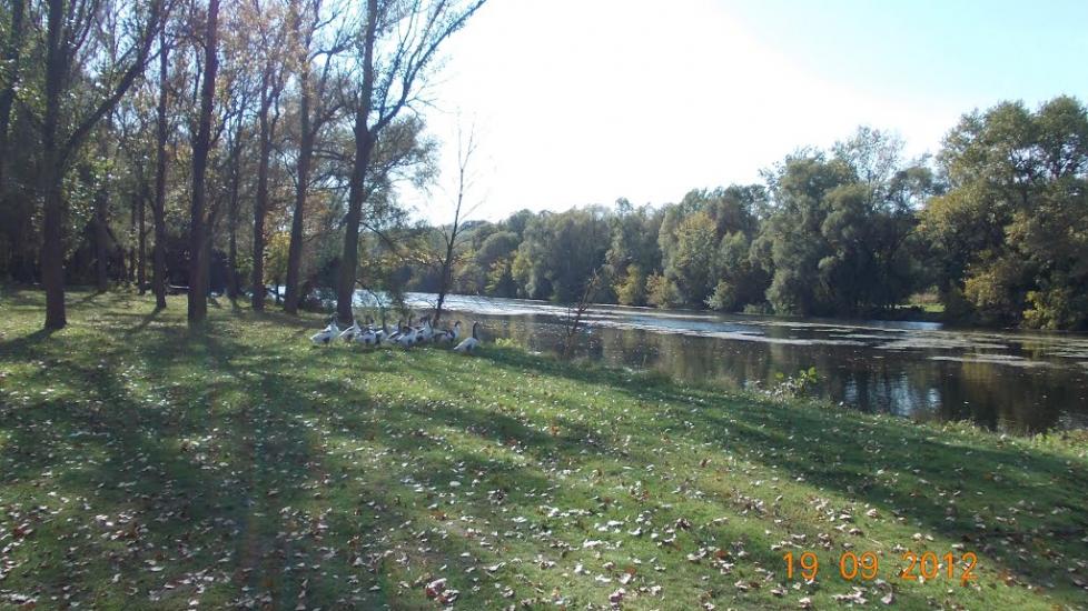 Пристайлове з panoramio.com - Пристайлове