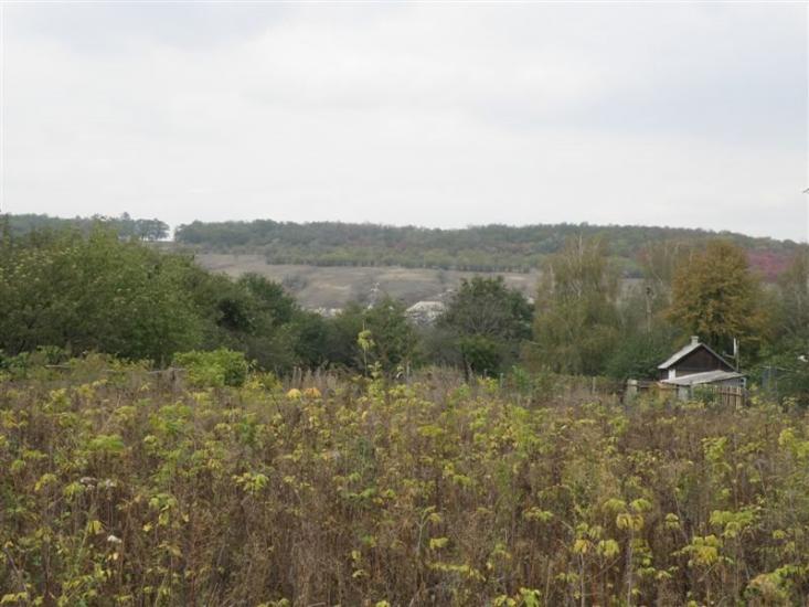 Нижнє з panoramio.com - Nyzhnye