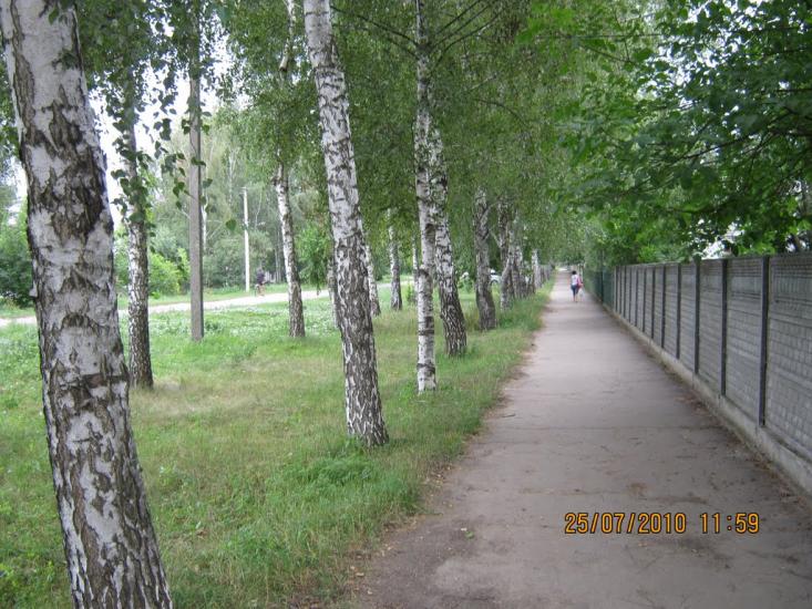 Хорол з panoramio.com - Хорол