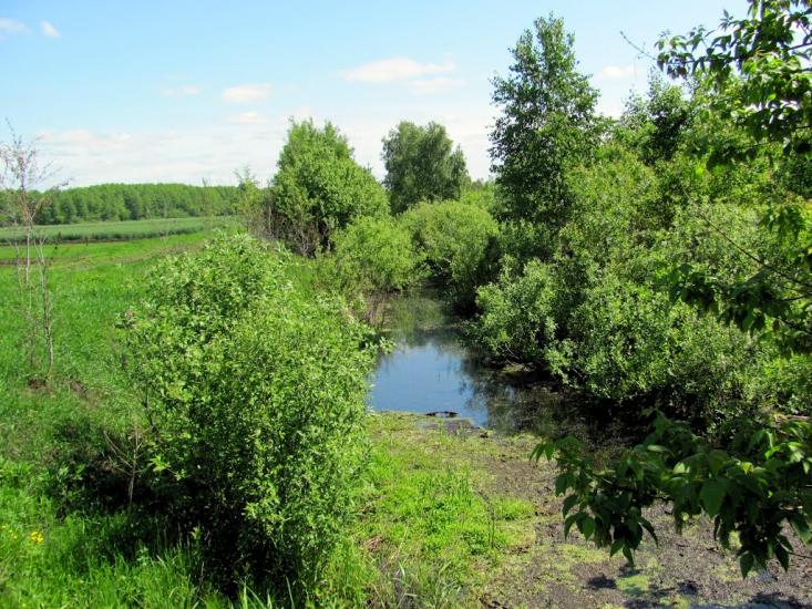 Карасин з panoramio.com - Карасин